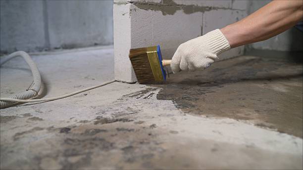 Top rated local Waterproofing specialists in Bluff City, TN